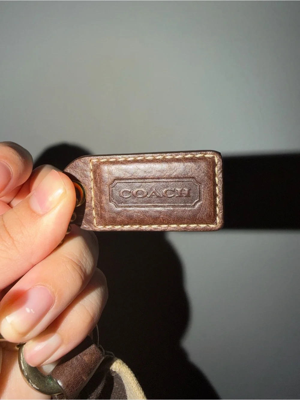 Coach Signature Carly shoulder bag